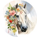 Horses